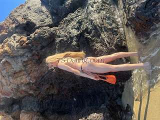 trans girl suziexxl 3047639 trans girl suziexxl 3047639