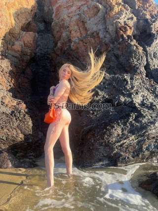 trans girl suziexxl 3047689 trans girl suziexxl 3047689