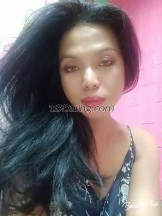 trans girl sweetsugar 4810605 trans girl sweetsugar 4810605