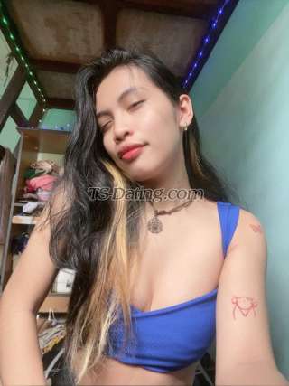 trans girl sycaitlyn1 2338143 trans girl sycaitlyn1 2338143