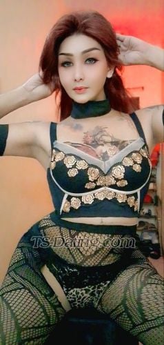 trans girl TRANSDOMINANT 3983783 trans girl TRANSDOMINANT 3983783