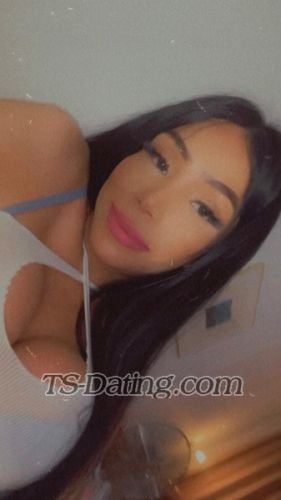 trans girl TSANGELXXL 5396764 trans girl TSANGELXXL 5396764