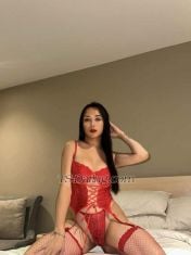 TSCandy04 Hanoi Transex Im Your Ts.Candy ! Your Fully Functional Ts With Big Weapon
and Creamy Cum!‼️‼️INCALL & OUTCALL
SERVICE ‼️‼️‼️‼️ALSO CAMSHOW AVAILABLE
‼️‼️-Whatsapp-+639634299912-Wechat -
alcantara0094-Line-ts.candy04telegram-+63963429991
2WELCOME TO MY PAGE*This is TS CANDY An
Attractive, Elegant, Sociable, Fun-loving, Sexy, Seductive,
Passionate, Open minded, Understanding, Easy going, Fun, Hot
blooded, Friendly, Distinct, Burning like a flame of fire.
All those attributes describe my personality and much more.
I am your PERFECT TS With a feminine look with a
big surprise in the middle of my leg that can rock your
world!! And talking about my picture i am verified so it
mean thats really me and same in person. Just videocall me
for face confirmation!!I offer a sensual and
relaxing getaway for delicate, demanding and distinguished
men looking for quality time in the company of a nice,
sweet, GFE-style girl (like your girlfriend). And
SATISFACTION is my real service!!!JUST PING ME IF
YOU WANT TO EXPERIENCE THE REAL
DEAL❗️❗️❗️*WELCOME TO MY
PAGE*This is TS CANDY An Attractive, Elegant,
Sociable, Fun-loving, Sexy, Seductive, Passionate, Open
minded, Understanding, Easy going, Fun, Hot blooded,
Friendly, Distinct, Burning like a flame of fire. All those
attributes describe my personality and much more.
I am your PERFECT TS With a feminine look with a
big surprise in the middle of my leg that can rock your
world!! And talking about my picture i am verified so it
mean thats really me and same in person. Just videocall me
for face confirmation!!I offer a sensual and
relaxing getaway for delicate, demanding and distinguished
men looking for quality time in the company of a nice,
sweet, GFE-style girl (like your girlfriend). And
SATISFACTION is my real service!!!JUST PING ME IF
YOU WANT TO EXPERIENCE THE REAL DEAL❗️❗️❗️