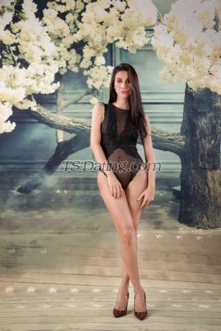 trans girl TSCoco 4737479 trans girl TSCoco 4737479