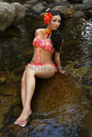 trans girl TSKIMBERLYTOP 6185134 trans girl TSKIMBERLYTOP 6185134