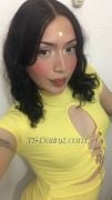 TS Nicole Jen Cancun Transex Hola mi nombre es nicole y soy una linda niña súper femenina lista para hacer que pases un rato inolvidable, sin malos tratos conmigo siempre la pasarás bien.
Escribeme

sólo soy pasiva
Cuento con lugar

SOLO GENTE SERIA