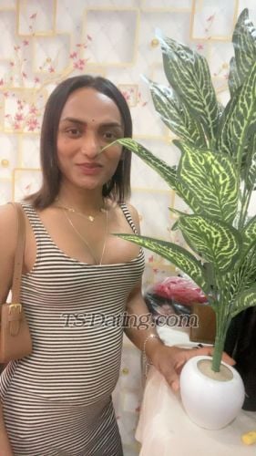 trans girl TSShilpa 3773403 trans girl TSShilpa 3773403