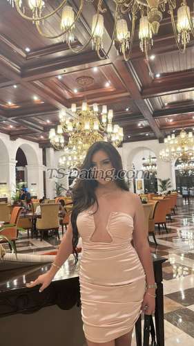 trans girl TSSteph 4881322 trans girl TSSteph 4881322