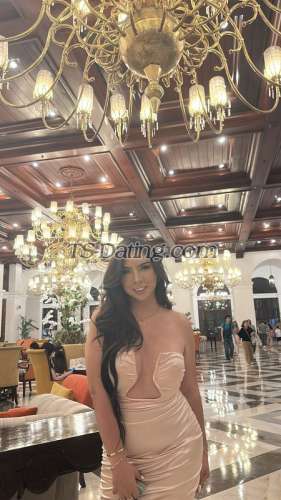 trans girl TSSteph 4881348 trans girl TSSteph 4881348