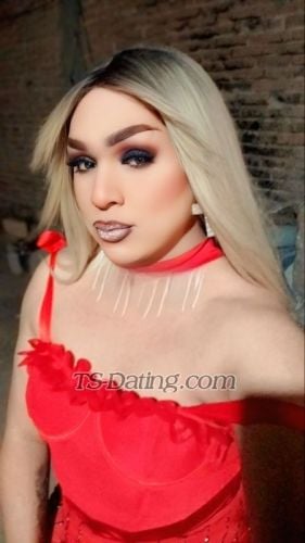 trans girl TSVitoriaHa 7413447 trans girl TSVitoriaHa 7413447