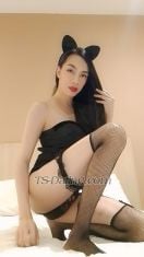 TSbigcock143 Kuala Lumpur Transex Hello my name is Kath an exotic pre-op transexual woman from
South-East Asia(Philippines). I am one of the most
beautiful, feminine, naturally looking trans in town, with a
sexy smooth and soft body and natural short black hair now
(new look) I’m very friendly and easy to get on with with.
Here To fulfill your fantasies and desires, providing
ultimate pleasure.I am versatile (top and bottom)
with a HARD TASTY 7 INCHES for you to play with. Can be both
Dominant and Submissive depending on your desires and open
to many different fetishes and kinks, which we can discuss
beforehand. I love sex so whatever your fantasy, I'll make
it happen!!Personal hygiene is important to me,
and I expect the same from you. Shower facilities and fresh
towels are provided.safe sex is a
must.Available for:Incall and outcall
meetingsOvernight meetingsDates (restaurant, bar,
cinema etc) A glamarous and friendly companion for any
social occasionClassy gentleman of all ages and
ethnicity, I don't discriminateCouplesFirst timers
more than welcome, I am an expert with beginnersAnd
many moreWhat you waiting for, come and meet a
true TRANSEXUAL GODDESS and lets explore your fantasies and
desires together!!For more details and bookings
please call or message. Blocked numbers will be
ignored.