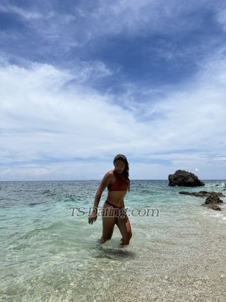 trans girl TSdhea14 7126182 trans girl TSdhea14 7126182