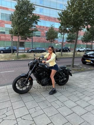 trans girl TSevaa 6399813 trans girl TSevaa 6399813