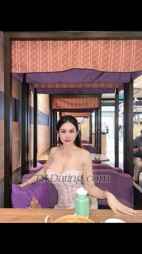 trans girl TSgrace88 0864292 trans girl TSgrace88 0864292