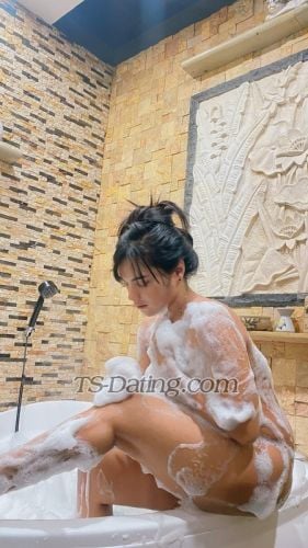 trans girl TShoneybee 0687733 trans girl TShoneybee 0687733