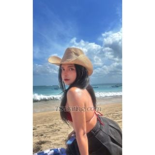 trans girl TShoneybee 4319145 trans girl TShoneybee 4319145