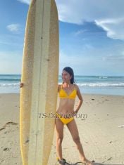 TSmiyaka Wanchai Transex Hi I'm miyaka from Philippines I'm newbie here if you want
to know me don't hesitate to message me I don't bite you
😂 let's chat and know each other.. I'm very simple
person, Lovely, caring, sweet,Relax, unwind and drift to
another world you deserve to be pampered. you work hard and
hopefully play hard. Now its time to relax with a sooting
massage. Whether you are at home, tourist who is staying in
a hotel or just passing through. I can indulge you desire to
be pampered for an hour, two or even full night service. !