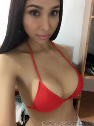 trans girl TSnathalie 2704530 trans girl TSnathalie 2704530
