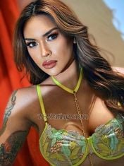 TSolga99 Kuala Lumpur Transex Mobile: +60179298652
Whatsapp: +63 969 185 2708
Telegram: olgahermosa02
ID: mariaolgahermosaa
Snapchat: Alxbryg

☑️FIRST TIMERS ☑️BUSINESS MAN ☑️NICEGUY 

Hello! I’m OLGA, 💎 
A Beautiful Sunshine from Philippines YOU WILL wish to MEET. 
An Extraordinary companion that awakens the Sensual spirit in you. Pamper you like a King
& Give you a NEVER-ENDING SATISFACTION..💋

•🐰🎀TO MY FUTURE PLAYMATE 🎀🐰•

Are YOU looking for a DECENT Courtesan with 
a wonderful personality for an Outcall? **

FIRST Amazing Experience? GFE? THREESOME w/ GUYS,GIRLS,TS? PORNSTAR Experience? Light DOMINATION? Costume FETISH/RolePLAY? PROSTATE/B2B Massage? SISSY Feminisation? 

or maybe,

You just simply need a companion??

someone to talk to.. 

someone to listen..

Someone who wont hesitate to crack a joke 
even if its corny just to make u happy. 👻
IF YOU DO, (Then get that balls ready)
COME TO ME and TRUST ME! 👑🥂
Let\'s make your FANTASY into REALITY. 😉


*Incalls*
(I Stay in a very nice & clean Apartment w/ parking space. UNLIMITED CONDOMS.)


🎀• THINGS TO KNOW ABOUT ME •🎀

•I’m BISEXUAL & VERSATILE 🍒 
I EAT Pussy too.👅💦 
I enjoy fucking Both Guys&Girls.
I’m the best of both world. 🌍

•I’m KINKY & NAUGHTY 👅
Sometimes only, I’m serious!!!😜🙈

 •SMOOTH TIGHT ASS 🍑 
Clean shaved ass, Super Tight & Fluffy. 🤗
Lickable, Edible, Fuckable. 🍎🔥

•GENUINE💎
Im very talkative, I love deep talks. 
THE BEST DATE YOU’LL EVER HAVE. 
I love to ask my clients about their fascinations & Hangout W/ them, Listen to them, And give the BEST of MY ABILITY to SATISFY them. 😊

•WELL SPOKEN\'💡📘 ENGLISH FLUENT. Communicative.
I love reading books.I can ride any topics either Politics,History,Sports,Nature,Business or MONKEY BUSINESS. 😎

•FULLY FUNCTIONAL HARD COCK 🍆
Fully shaved and thick, perfect for fucking
And deep troathing. Fully loaded balls too.☄️

•BLOWJOB QUEEN 👅 (100% LEGIT) 🏆
I love licking balls, specially thigh areas.
PASSIONATE SUCKER.💦

•A WILD ONE 👠 (Addictive) 💯
I love Playing ass. It turns me on so BAD!💦
Slow Fingering your tight ass before Digging 
my cock inside. 😈 

•HYPNOTIC 🆘
Dont you tell me I didn’t warned you. 💋

💎💎💎💎💎

•TO BOOK ME: 
✅BE STRAIGHT FORWARD.
✅TELL ME THE EXPERIENCES YOU WANT TO GET.
✅1 HOUR PREPARATION.

•• ✋🏿LOOK NO FURTHER..THERE’S NO OTHER🤚🏿 ••

•Don\'t limit yourself to try an extraordinary sexual experiences, Only with the BEST PLAYMATE in Town..

THE ONE and ONLY, Olga Hermosa ♥️