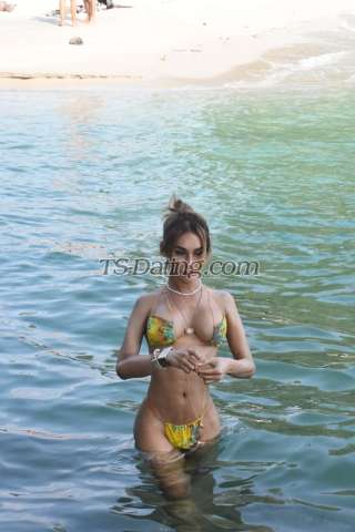 trans girl TSpia 3721578 trans girl TSpia 3721578