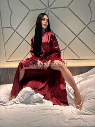trans girl TSsexgodess 9162156 trans girl TSsexgodess 9162156