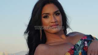 trans girl TSyosselin 7701369 trans girl TSyosselin 7701369