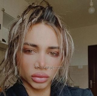 trans girl TVLore 2435696 trans girl TVLore 2435696