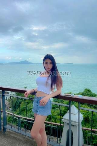 trans girl Tagei4525 3950693 trans girl Tagei4525 3950693