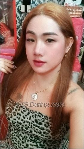 trans girl Taliatrans girl 4300375 trans girl Taliatrans girl 4300375