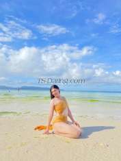 Tammy22 Tammy22 Angeles City Transex This is Tammy
Im not your typical Manila escort, Im one
of a kind, take a look at my pictures and ask yourself one
thing. Is this one of the most attractive hottie around? Im
a true Girlfriend Experience and has lots to offer a
gentleman like you.You will have such an adventure with me
that youll have a hard time letting me go. Im available for
short or long time encounters and no matter how long you are
together We will make it a time to remember. Let me divulge
and entertain you as ladies like me do not come around too
often.all we can say is have fun and surely you
will.
WhatsApp: +639536931656
Email:
barronde10@gmail.com