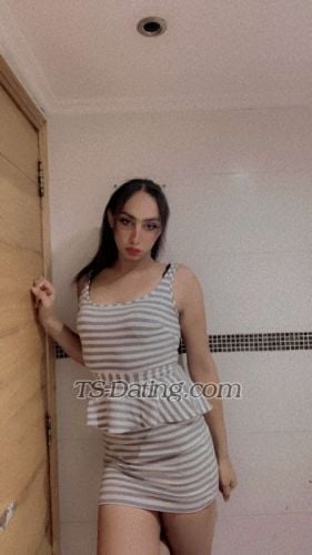 trans girl TaraBeirut 9274601 trans girl TaraBeirut 9274601