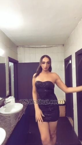 trans girl TaraBeirut 9573783