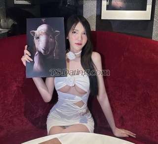trans girl Taylorgood 9954182 trans girl Taylorgood 9954182