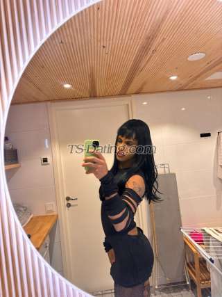 trans girl Tayrafox 7333150 trans girl Tayrafox 7333150