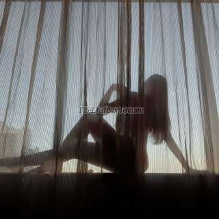 trans girl TessaRawr 1679711 trans girl TessaRawr 1679711