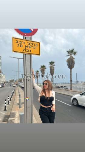 trans girl Tgirlsassy 6458745