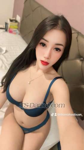 trans girl Thaniahasibu 1639804 trans girl Thaniahasibu 1639804