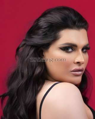 trans girl TheonlyAamar 8919275 trans girl TheonlyAamar 8919275