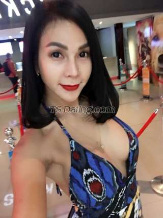 trans girl TiaraQalisya 1972463 trans girl TiaraQalisya 1972463