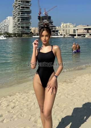 trans girl TifannyLove 1925126 trans girl TifannyLove 1925126