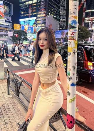 trans girl TifannyLove 9303545 trans girl TifannyLove 9303545