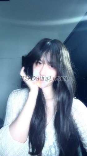 trans girl Tiffanyhk 4727591 trans girl Tiffanyhk 4727591