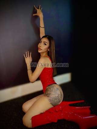 trans girl Tiffanylove 7622195 trans girl Tiffanylove 7622195