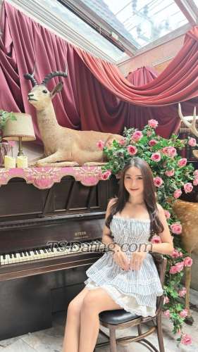 trans girl Tifsalsxx 8771798 trans girl Tifsalsxx 8771798