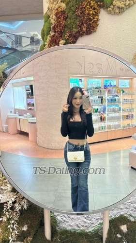 trans girl Tifsalsxx 9570938 trans girl Tifsalsxx 9570938