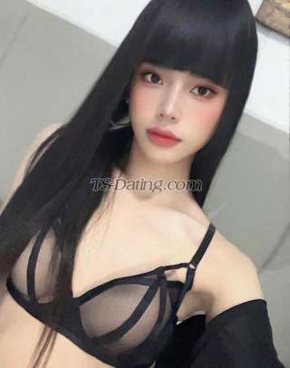 trans girl Tina1403 6291653 trans girl Tina1403 6291653