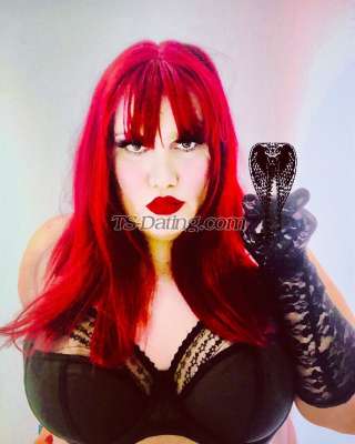 trans girl TinaLiasi 5096041 trans girl TinaLiasi 5096041