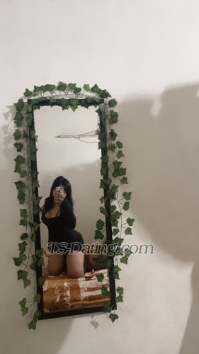 trans girl Tinabasuma 8232973 trans girl Tinabasuma 8232973