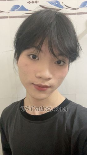 Shemale-TinyLam-9522699 