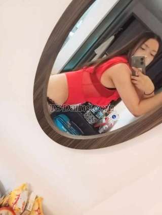 trans girl TopBarbie 9625896 trans girl TopBarbie 9625896
